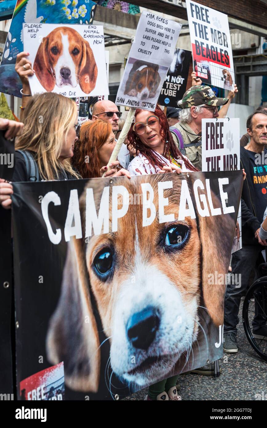 Camp Beagle, Free the MDR Beagle, National Animal Rights March, organised  by Animal Rebellion and Extinction Rebellion in the City of London, England,  UK. Several thousand people joined the group that campaigns