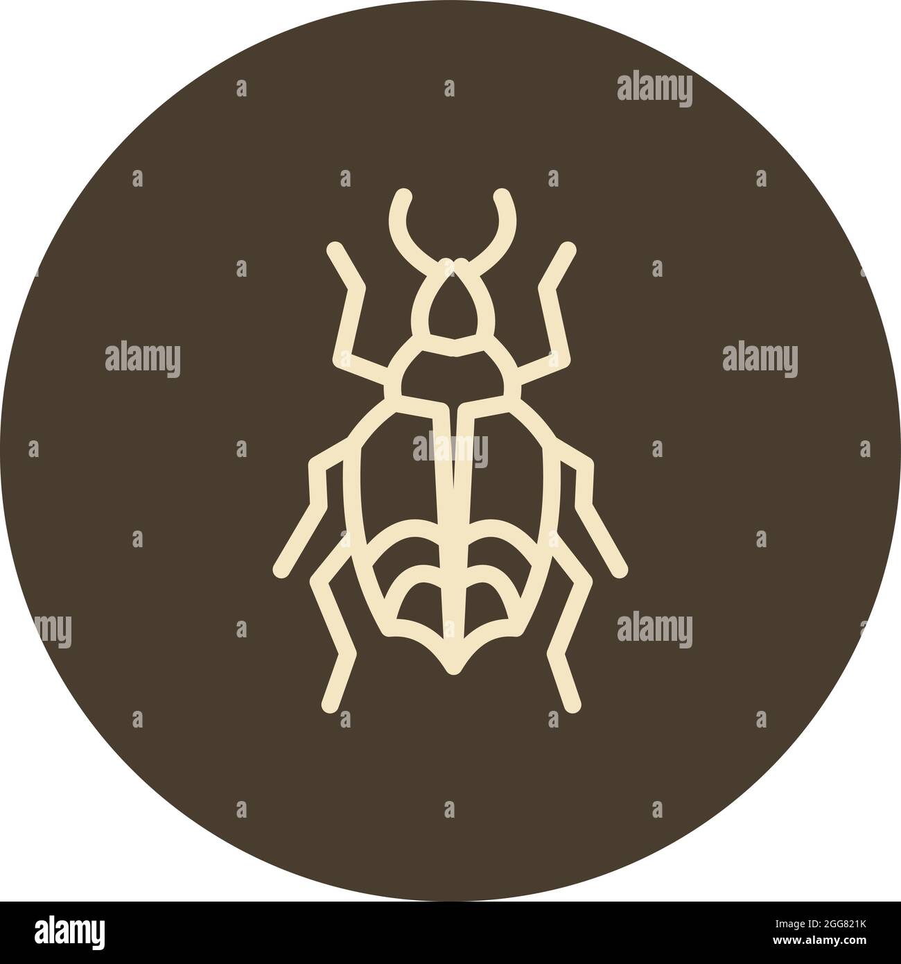 Cockroach insect, illustration, on a white background. Stock Vector