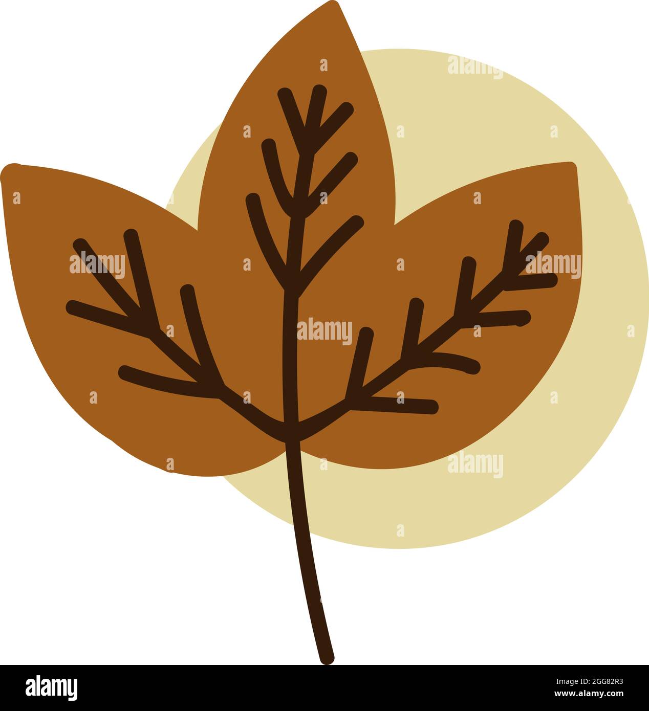 Three autumn leafs, illustration, on a white background. Stock Vector