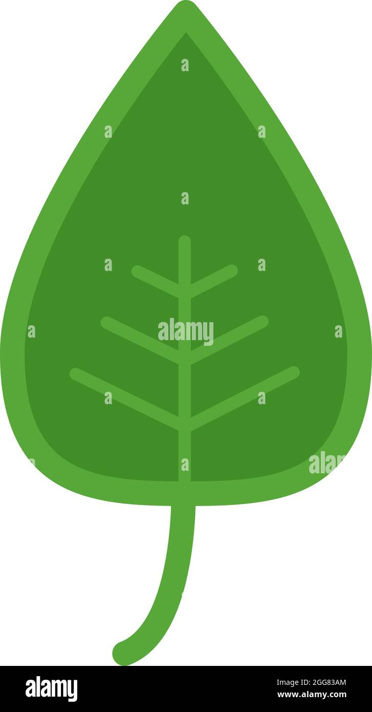 Green tree leaf, illustration, on a white background. Stock Vector