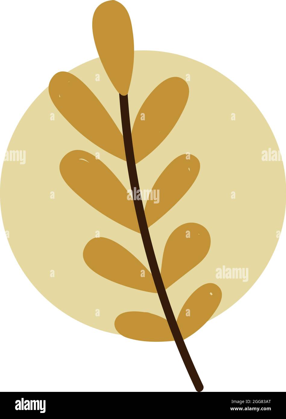 Nine autumn leafs, illustration, on a white background. Stock Vector