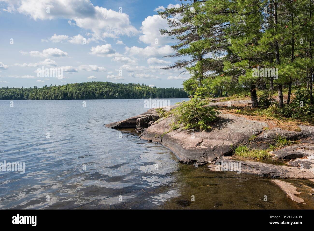 Canada, Ontario, Lake and forest Stock Photo