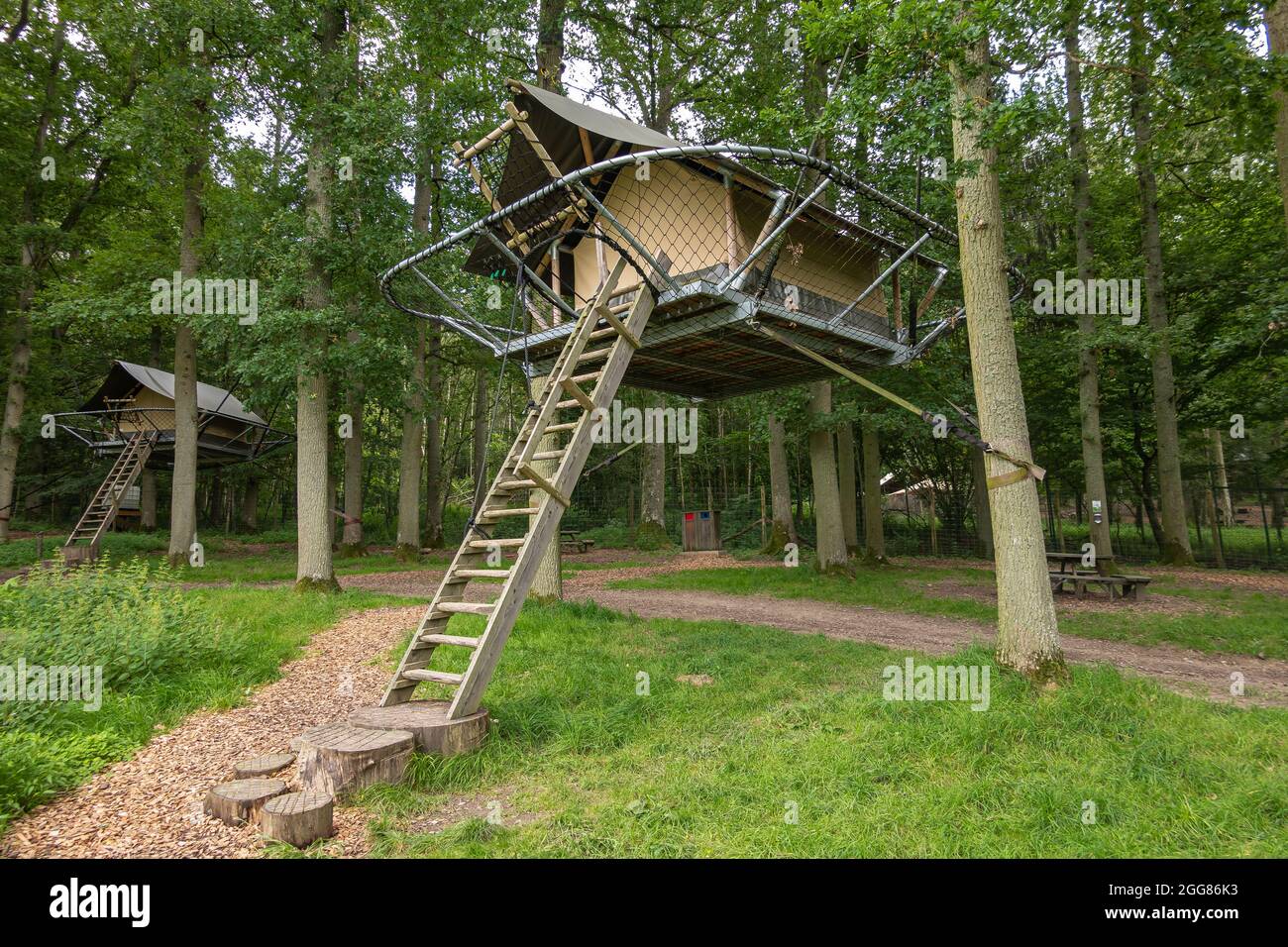 Han-sur-Lesse, Wallonia, Belgium - August 9, 2021: Wildpark. Closeup of Tree tent for rent in open forest at the domain. The dwelling hangs in between Stock Photo