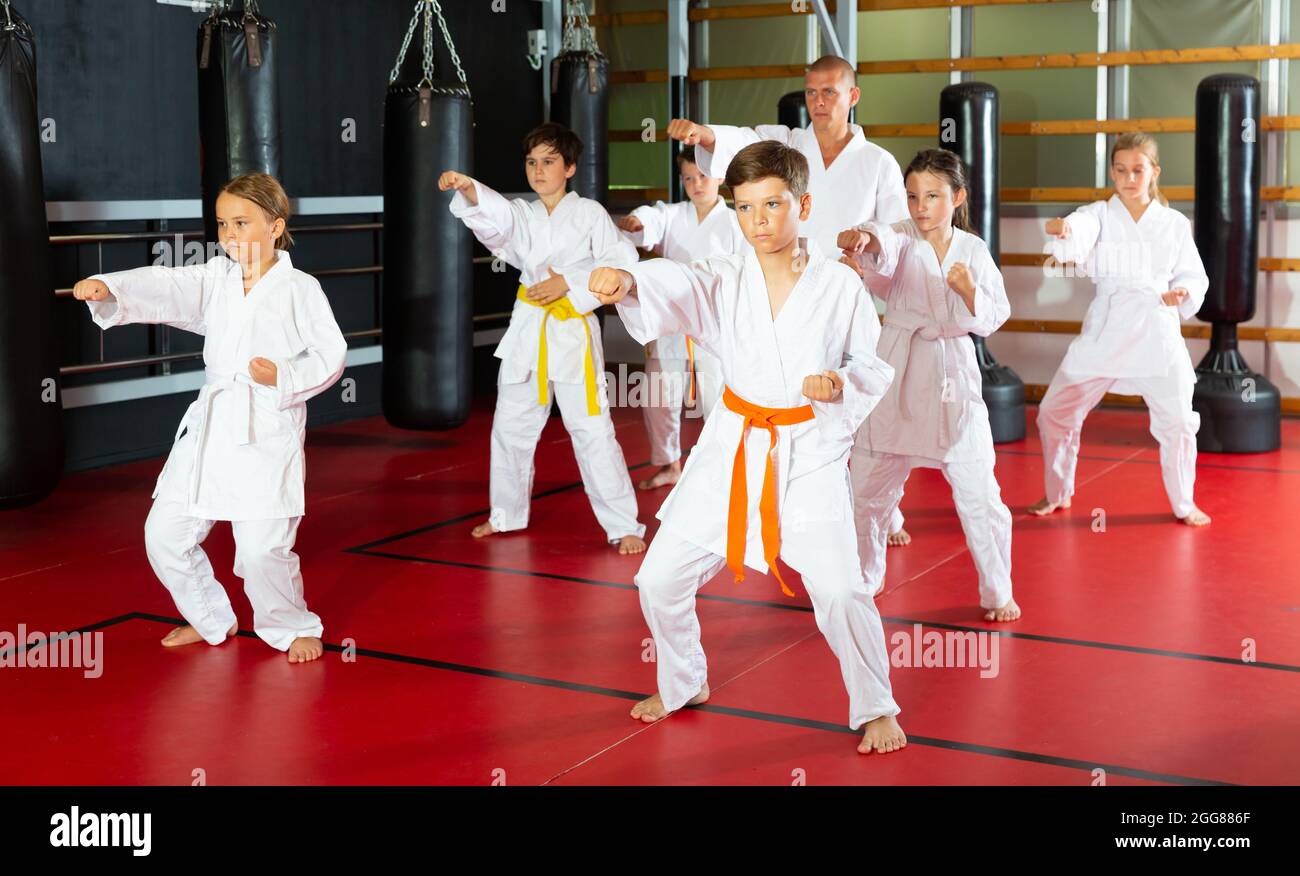 Schoolchilds practicing new technique in karate class Stock Photo