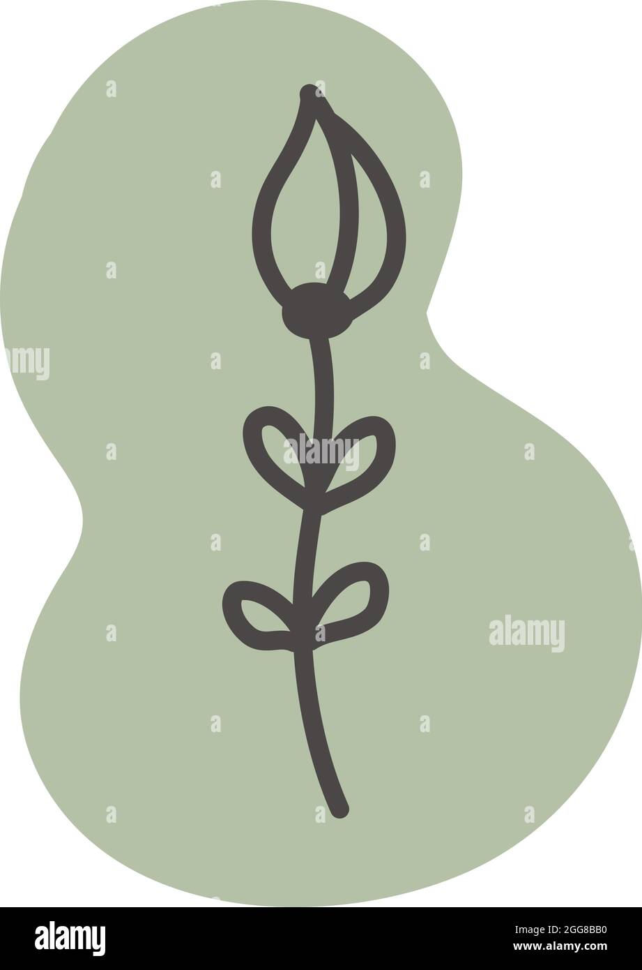 Daffodil flower, illustration, vector on a white background. Stock Vector
