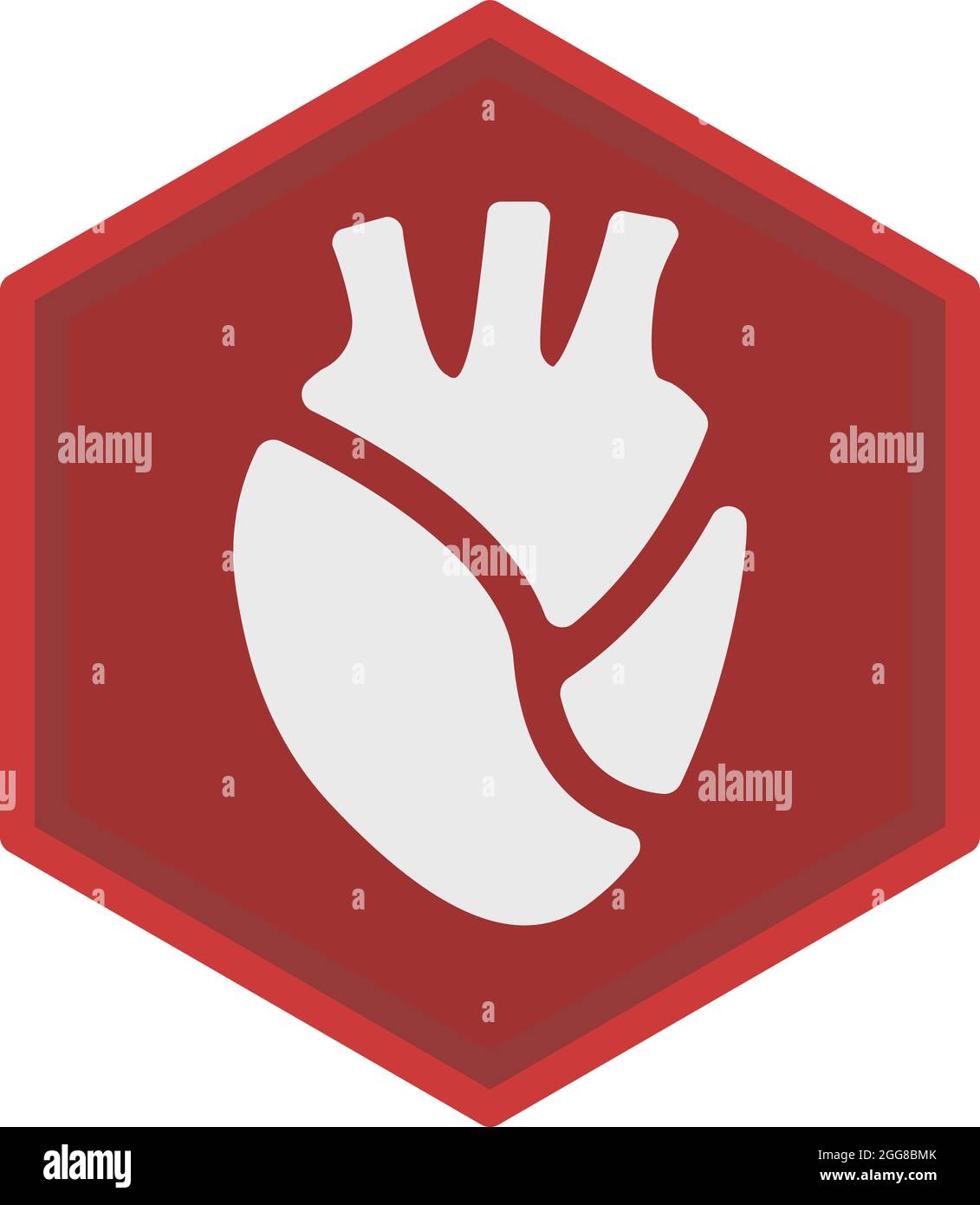 Human heart, illustration, vector on a white background Stock Vector ...