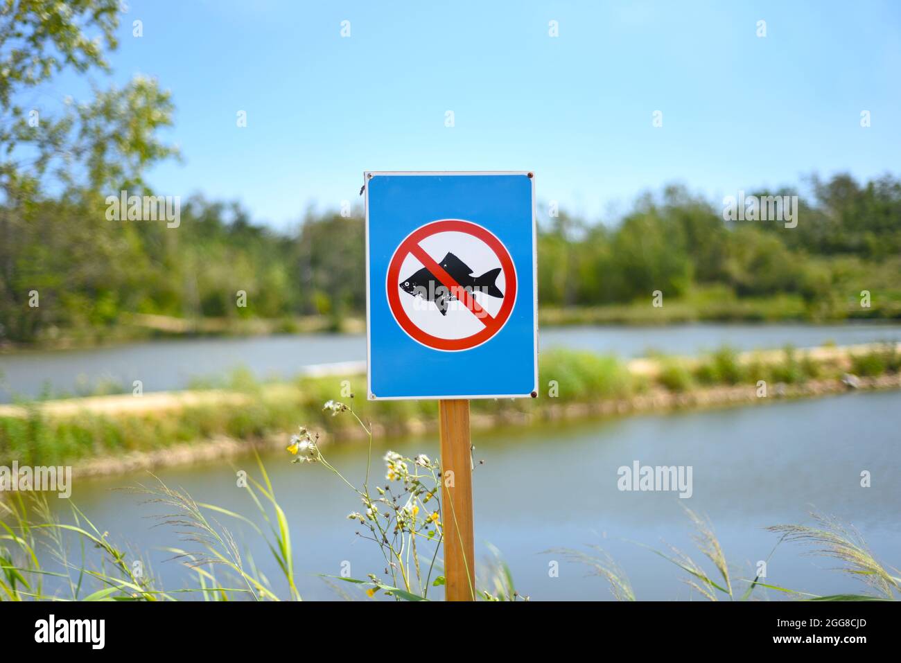 Prohibitory sign fishing is prohibited against lakes and forest in the park. Stock Photo