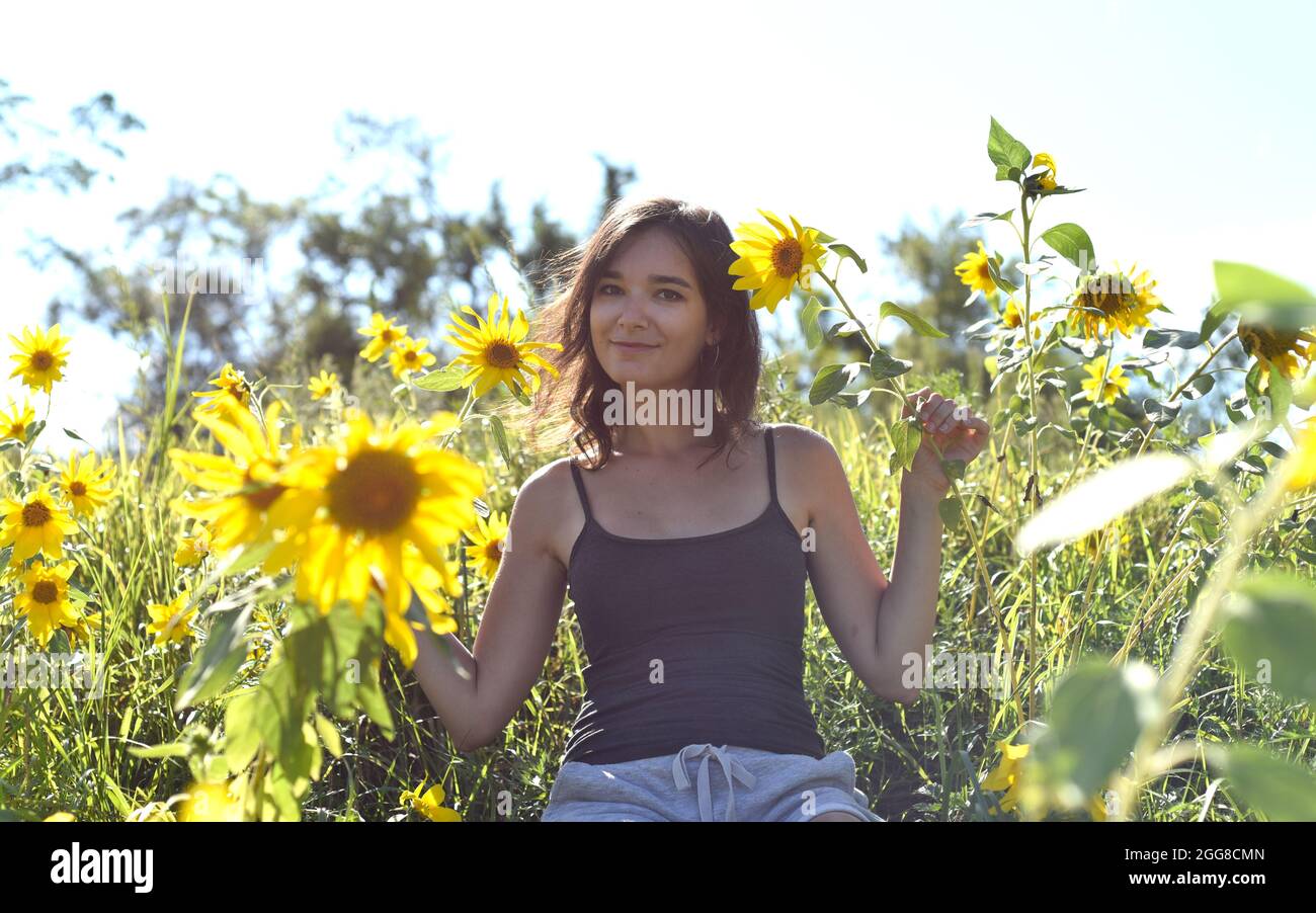 Young girl sitting in a field with sunflowers Stock Photo - Alamy