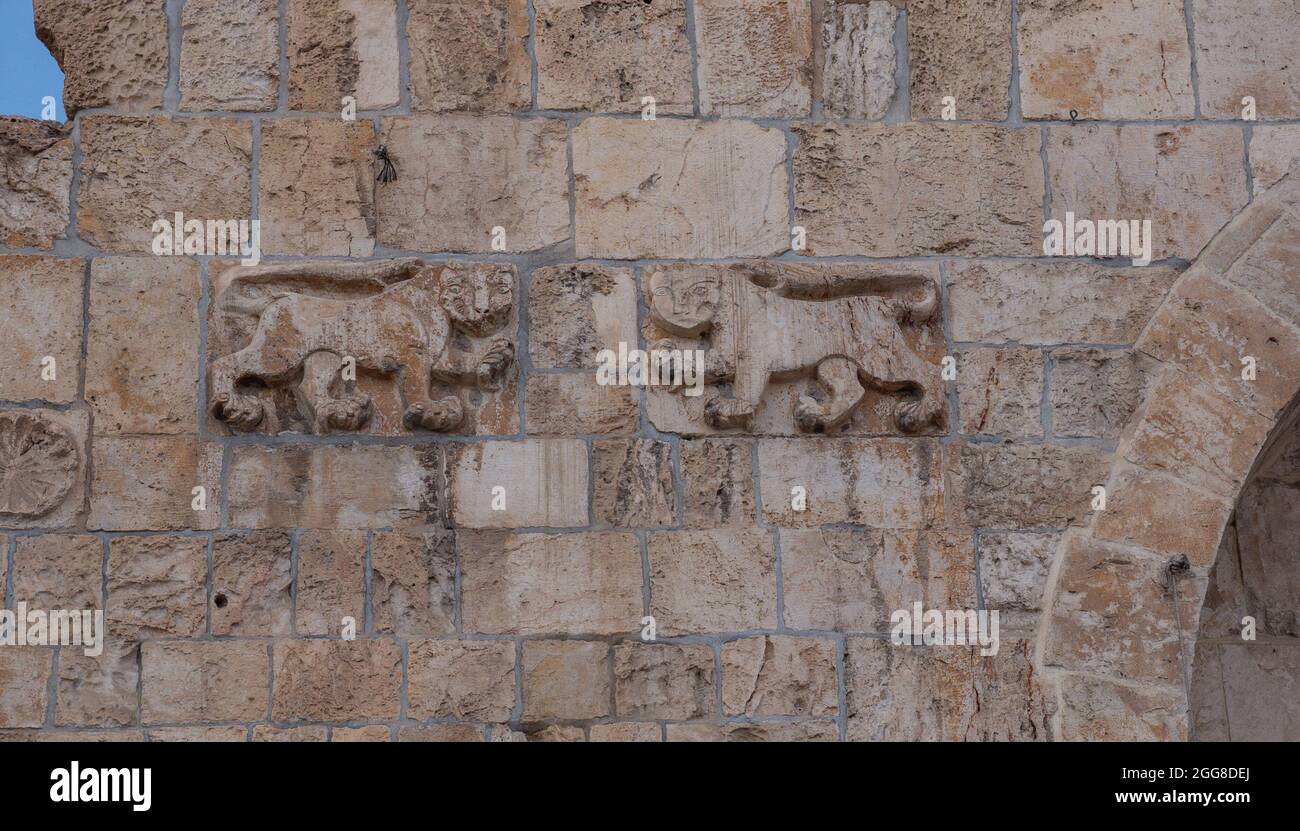Israel, Jerusalem, Old Town, Lion's gate. Decor on the stone wall near the entrance Stock Photo