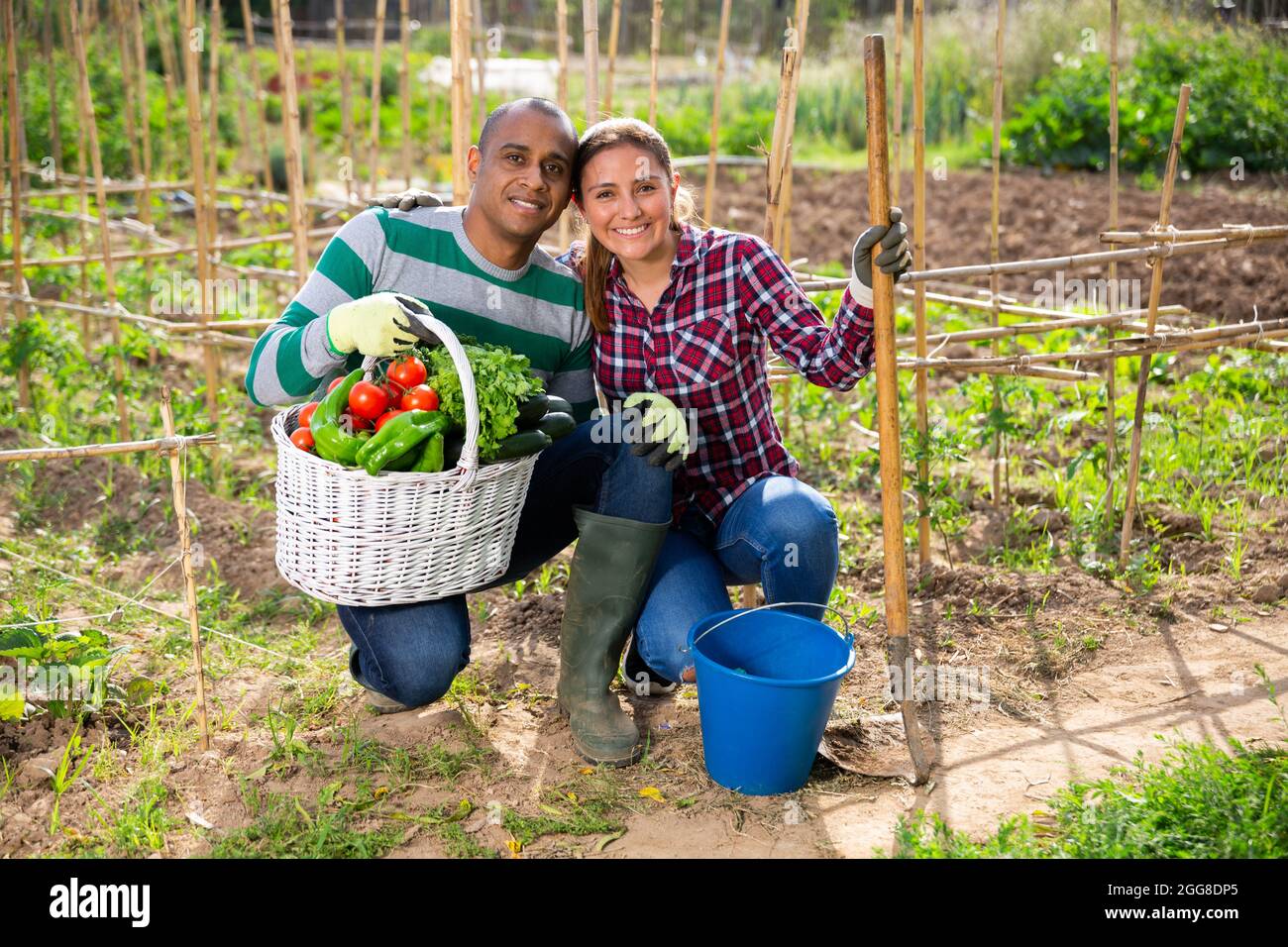 Positive family couple with harvest of vegetables in garden Stock Photo