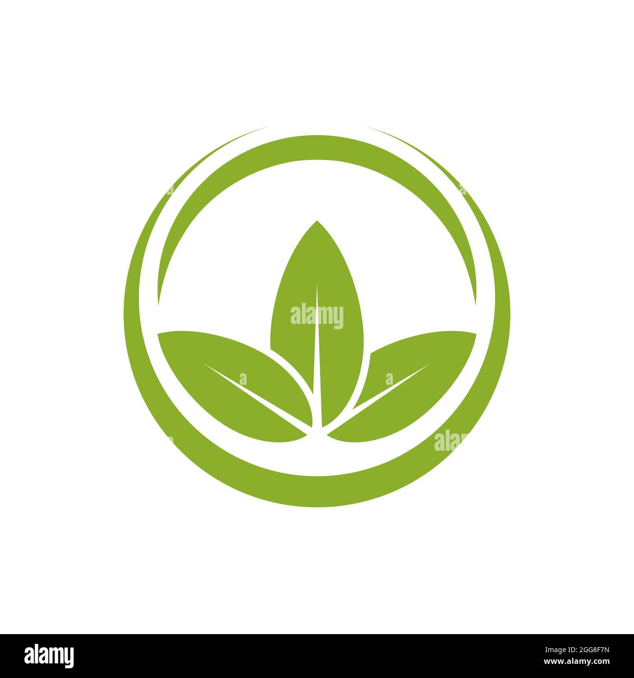 Leaf logo vector illustration design template. Stock Vector
