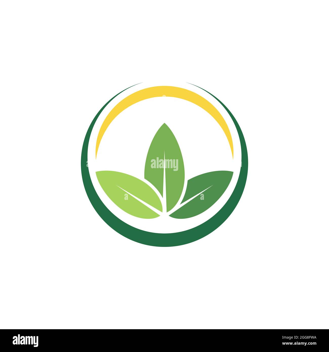 Leaf logo vector illustration design template Stock Vector Image & Art ...