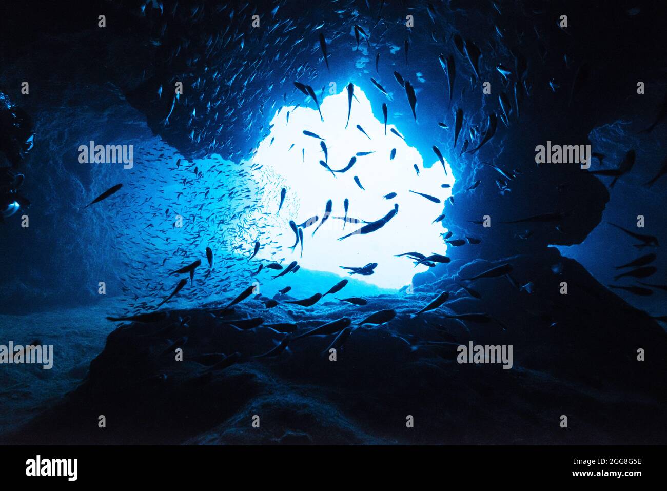 Ocean rock underwater floor hi-res stock photography and images - Alamy