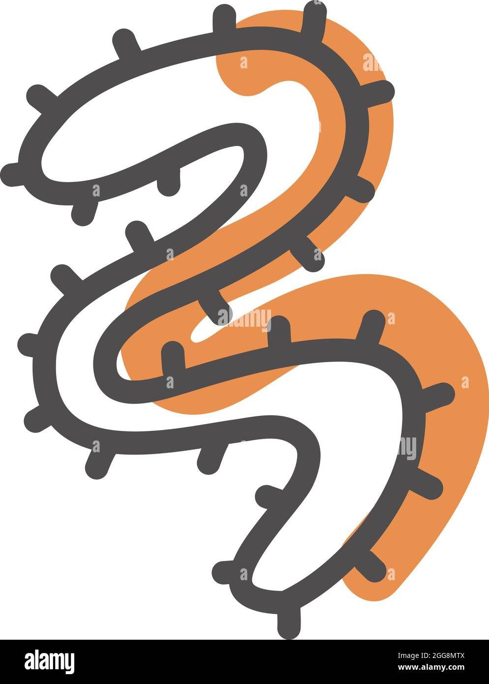 Worm bacteria, illustration, vector, on a white background. Stock Vector