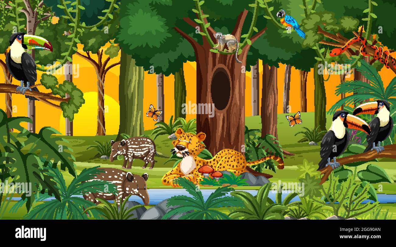 Forest at sunset time scene with different wild animals illustration ...