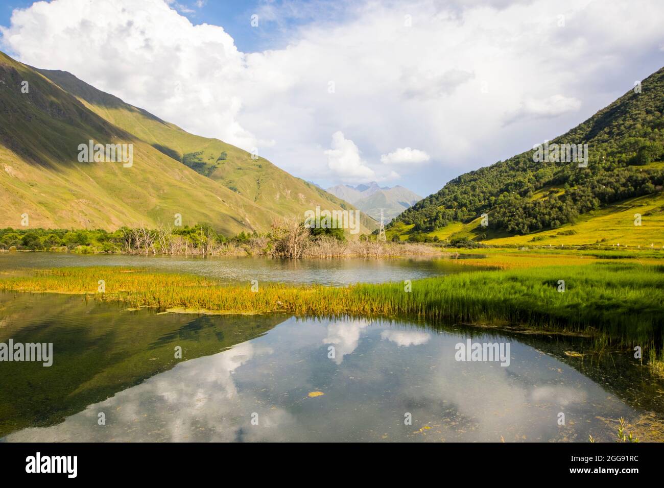 Swamp water pound hi-res stock photography and images - Alamy