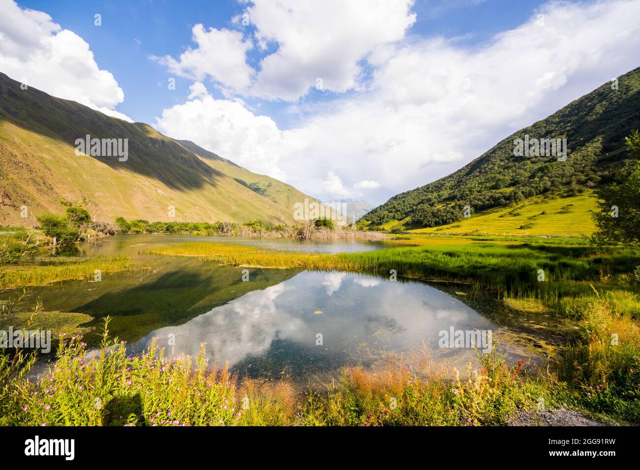 Swamp water pound hi-res stock photography and images - Alamy