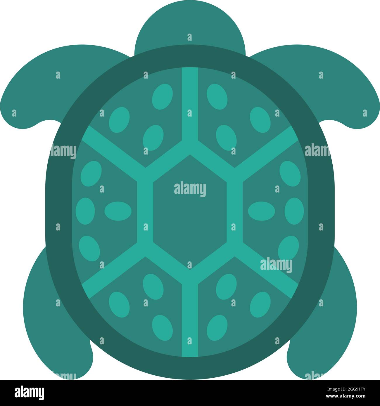 Cyan turtle, illustration, vector, on a white background Stock Vector ...