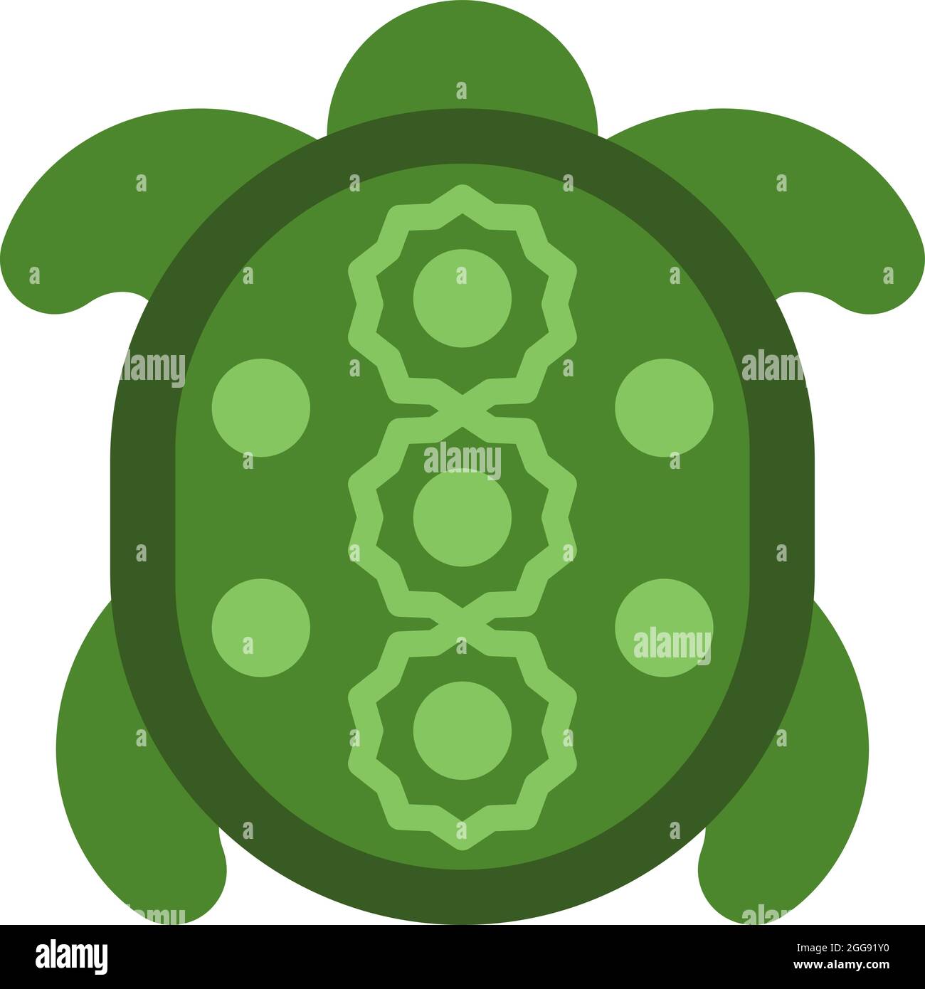 turtle shell vector