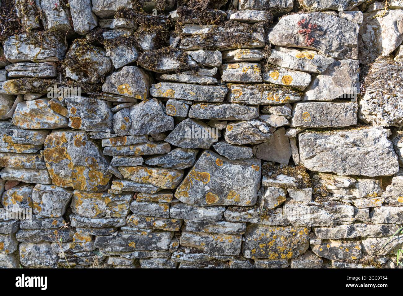 Old stonewall for background or texture Stock Photo
