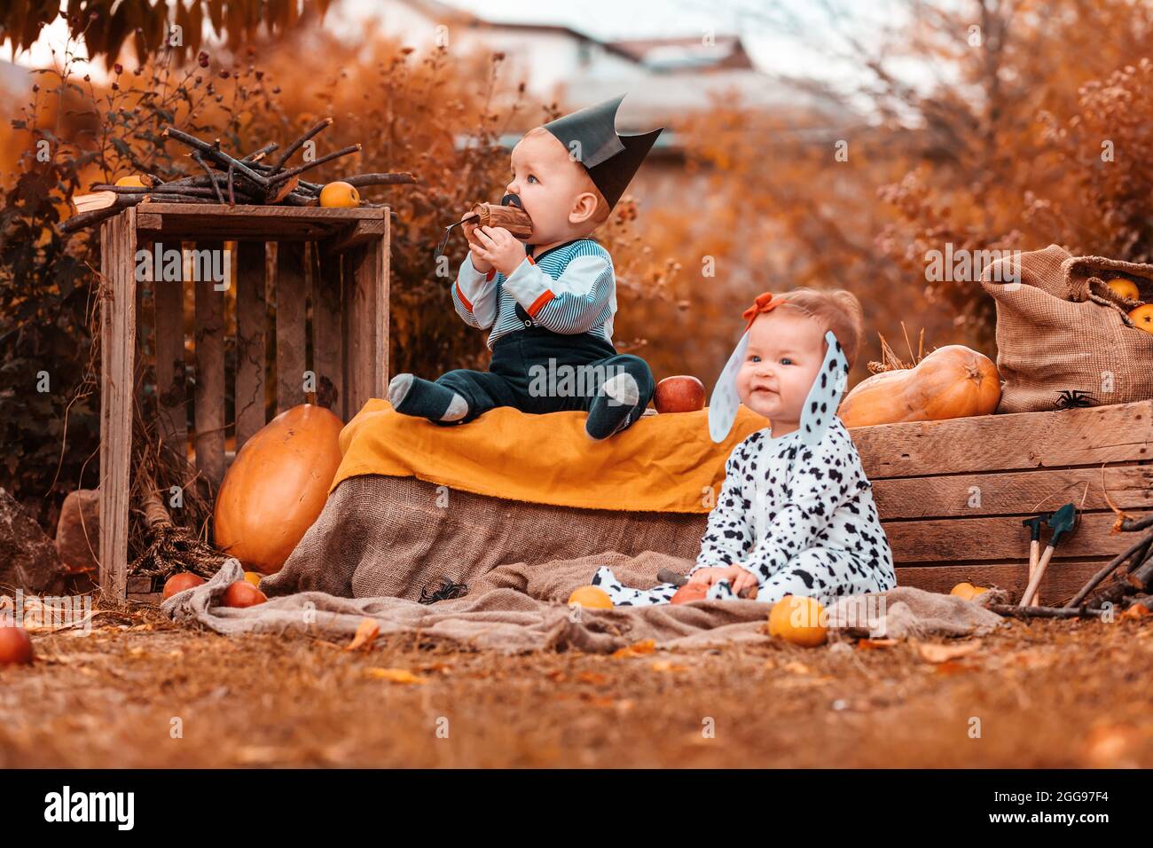 Halloween holiday. A boy in a pirate costume and a funny girl in a  Dalmatian costume, surrounded by pumpkins and agricultural decor. Preschool  childre Stock Photo - Alamy