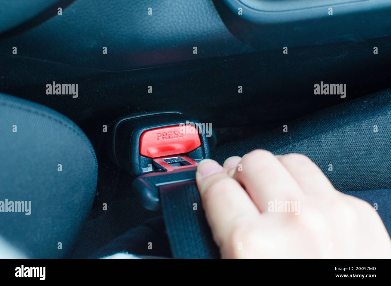 hand tying the car seat belt Stock Photo Alamy