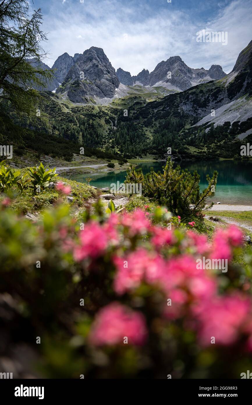 Seebensee natural lake in the mountainous area of Ehrwald, Germany ...