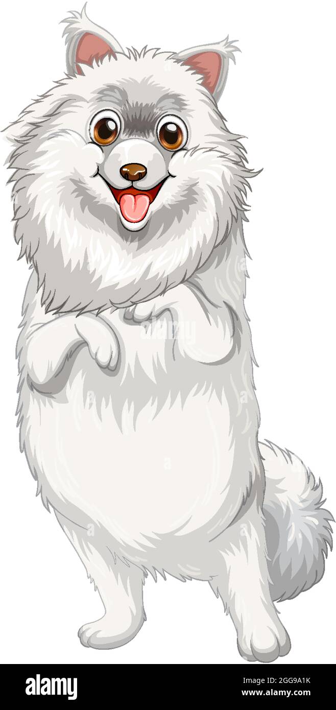 Pomeranian dog cartoon on white background illustration Stock Vector