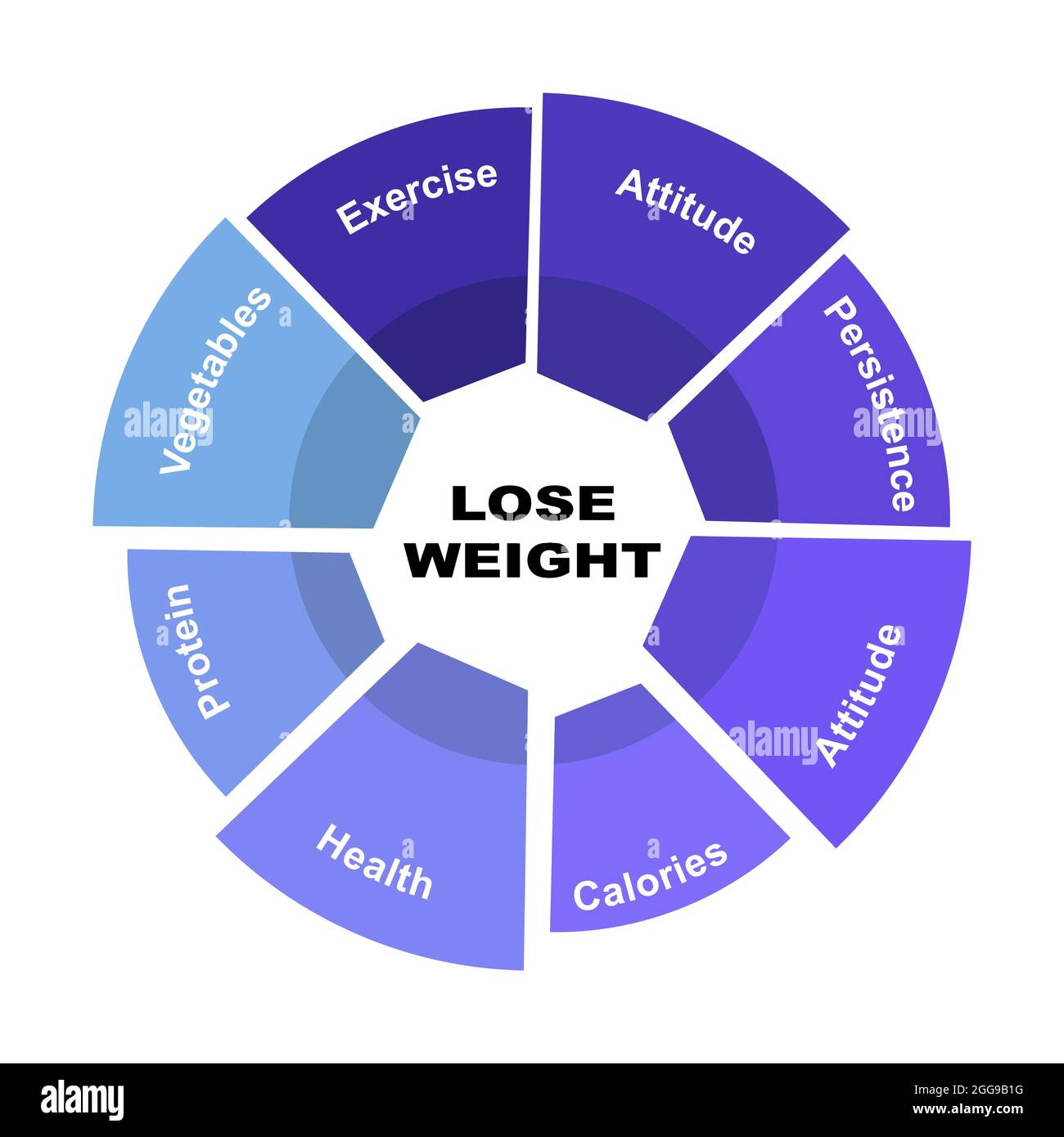 graph losing weight clip art