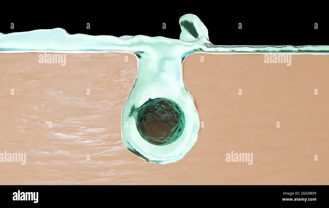 3d Illustration of Skin Layer Water Cleaning ,Cleansing foam Cream
