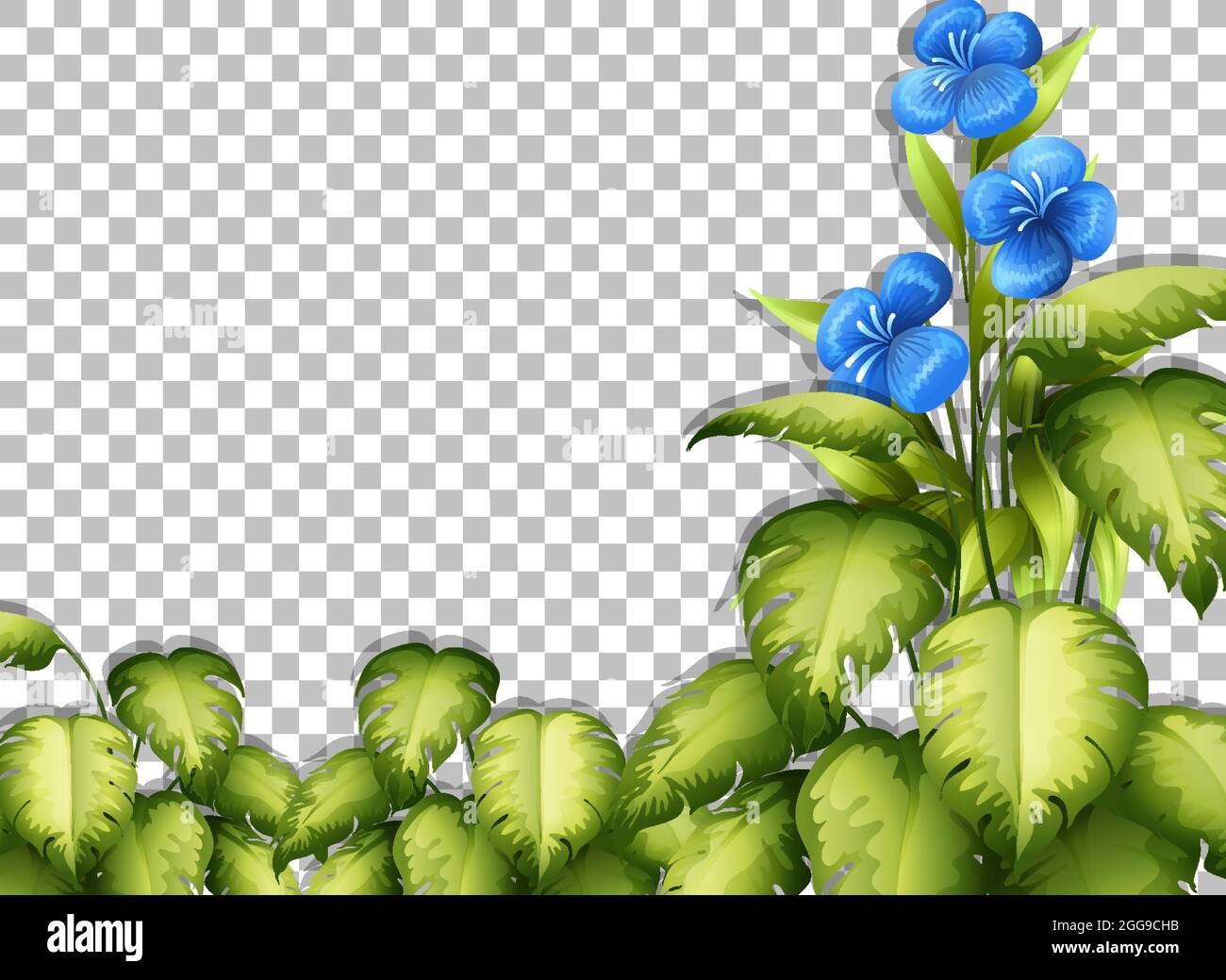 Various tropical leaves on transparent background illustration Stock ...