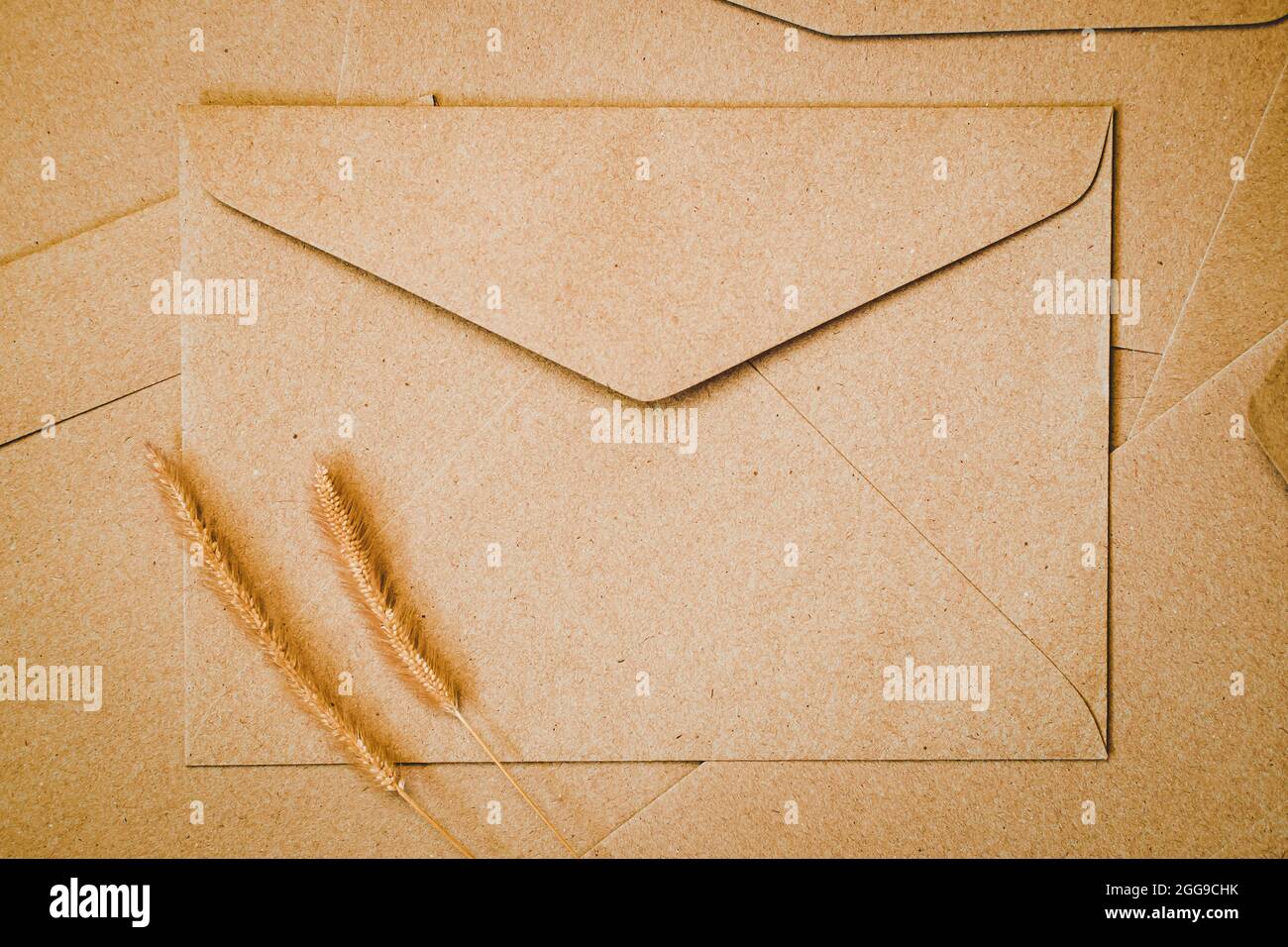 Brown paper envelope with Bristly foxtail dry flower. Close-up of Craft envelope. Flat lay minimalism. Stock Photo