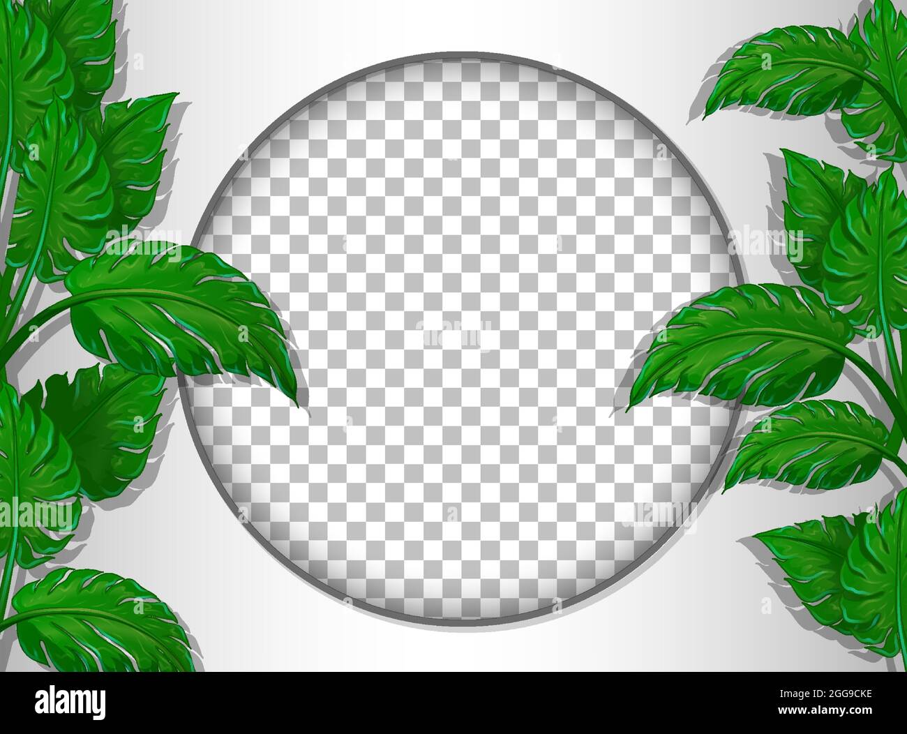 Round frame transparent with tropical leaves template illustration ...