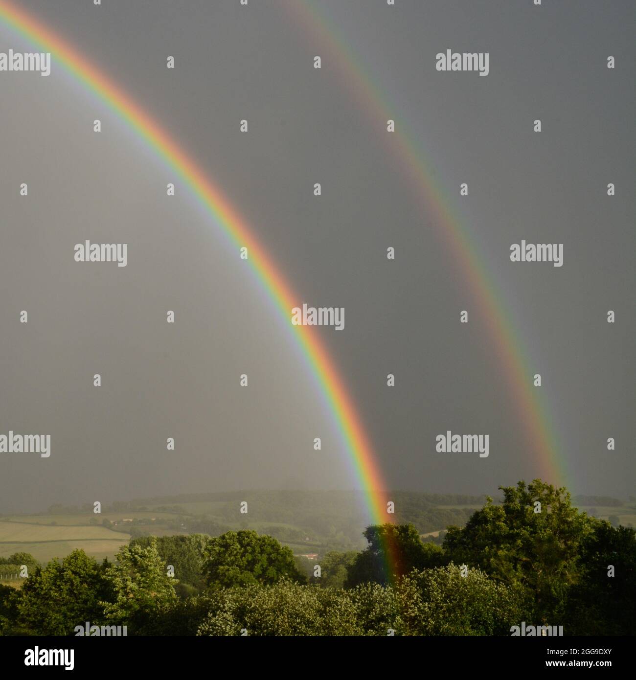 Attractive rainbow display during a summer shower shortly before sunset, viewed from Bradninch in Devon Stock Photo