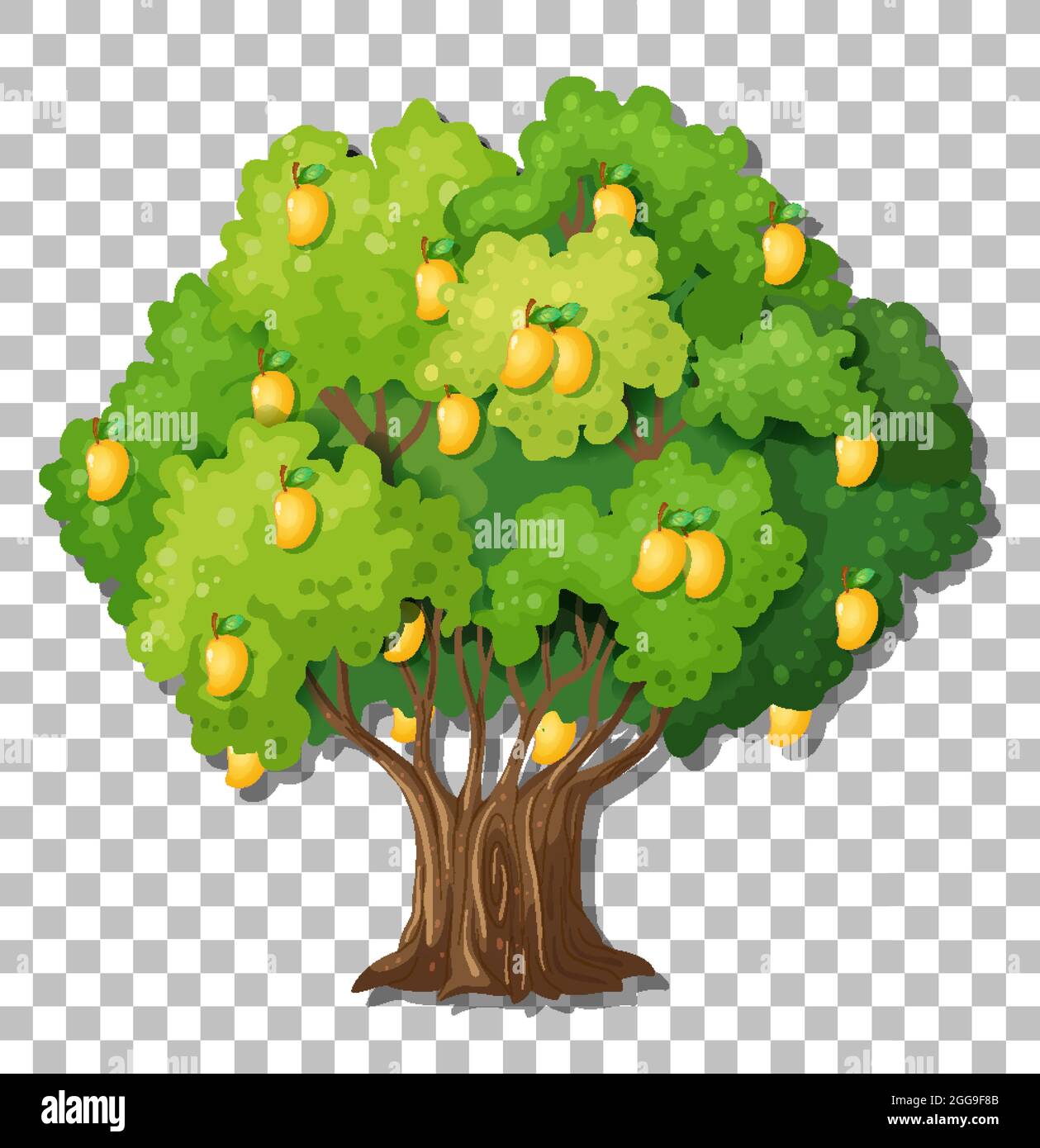 Mango tree on transparent background illustration Stock Vector Image