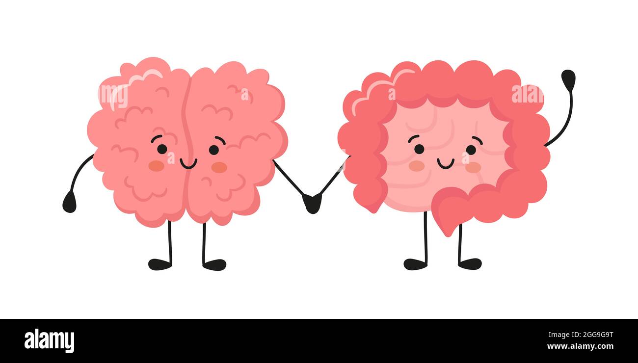 Kawaii happy human brain and funny intestine characters. Hand drawn symbol of the communication between the intestines and the brain. Vector cartoon Stock Vector