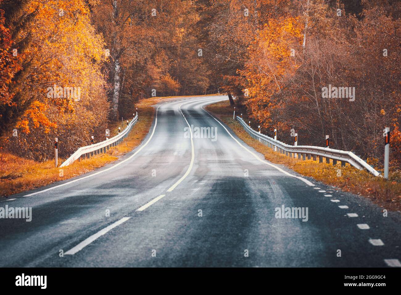 Beautiful curve highway with dividing line and autumnal trees on the both sides of it. Stock Photo