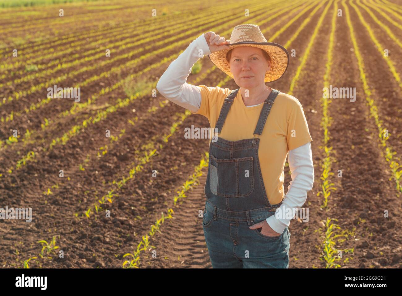 Portrait of female corn farmer in cultivated maize field wearing straw ...