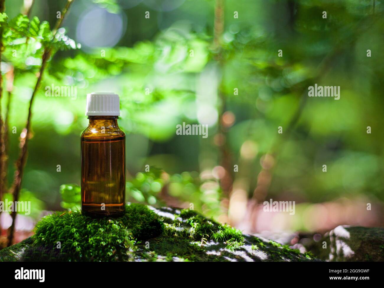Herb extract, oil in a bottle on moss. Nature bokeh background provides copy space. Natural remedy. Blur natural green plant background. Selective foc Stock Photo