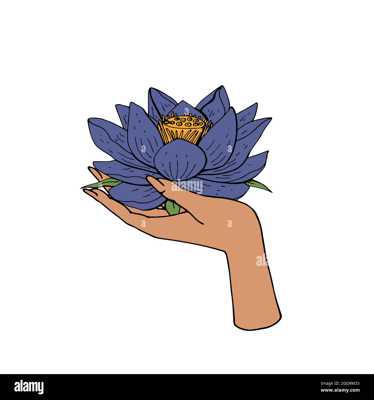 Vintage boho illustration of female Hand holding lotus. Stock Vector