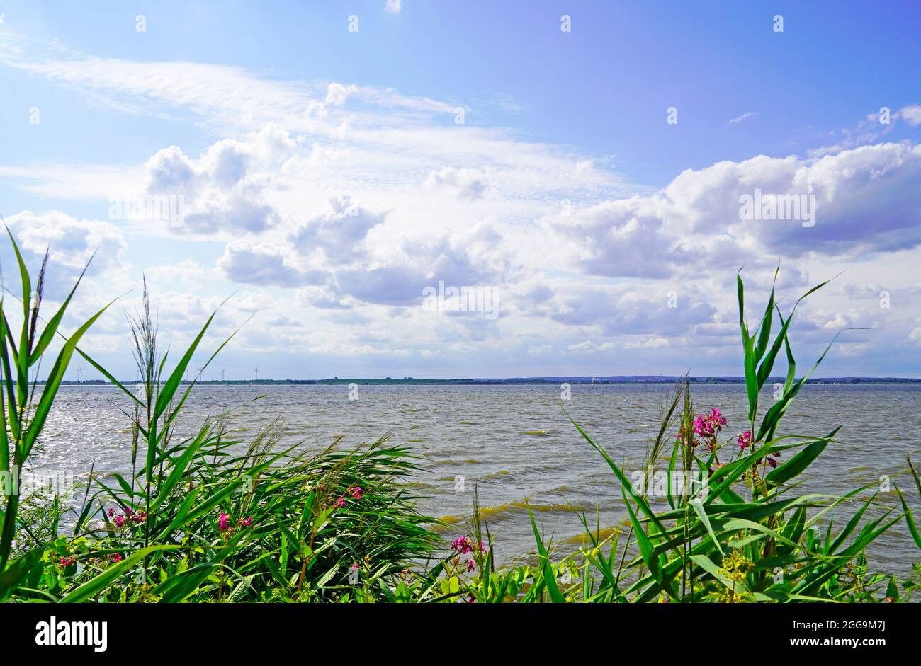 View of the Dümmer See near Diepholz. Stock Photo