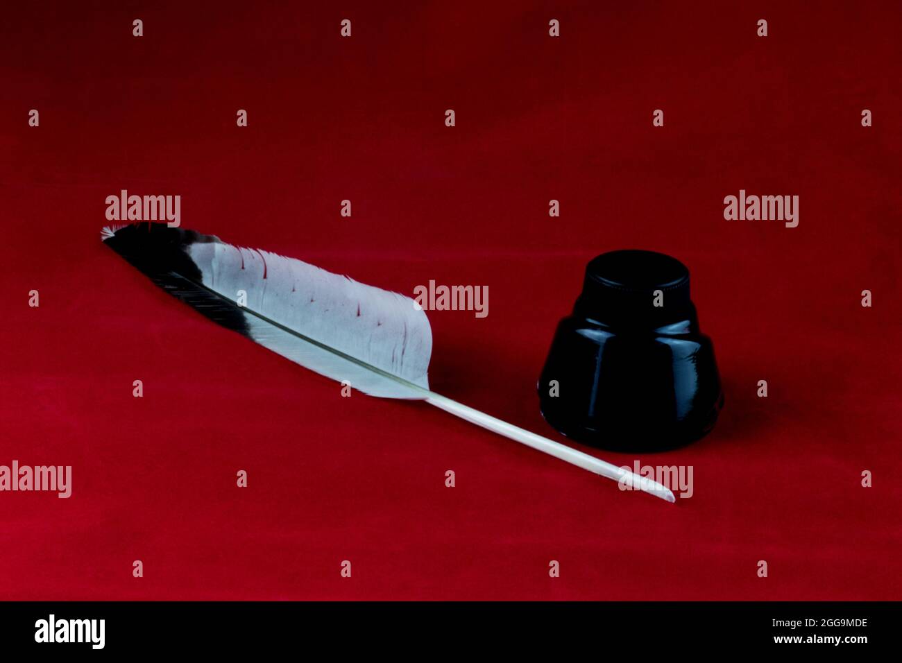 Quill feather pen and ink bottle isolated on a red background Stock