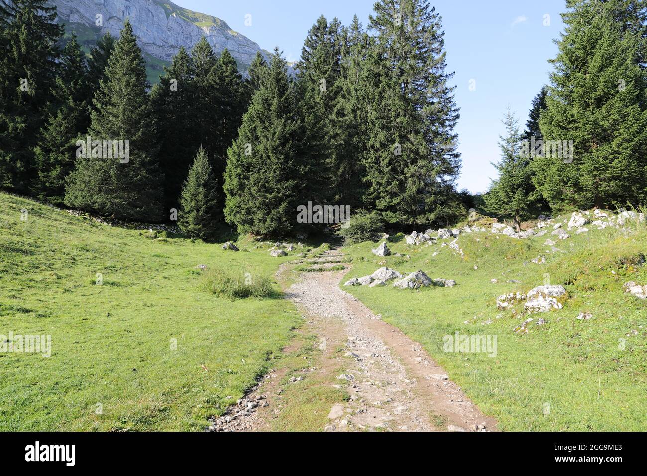 A beautiful hiking trail in Appenzell in Switzerland Stock Photo - Alamy