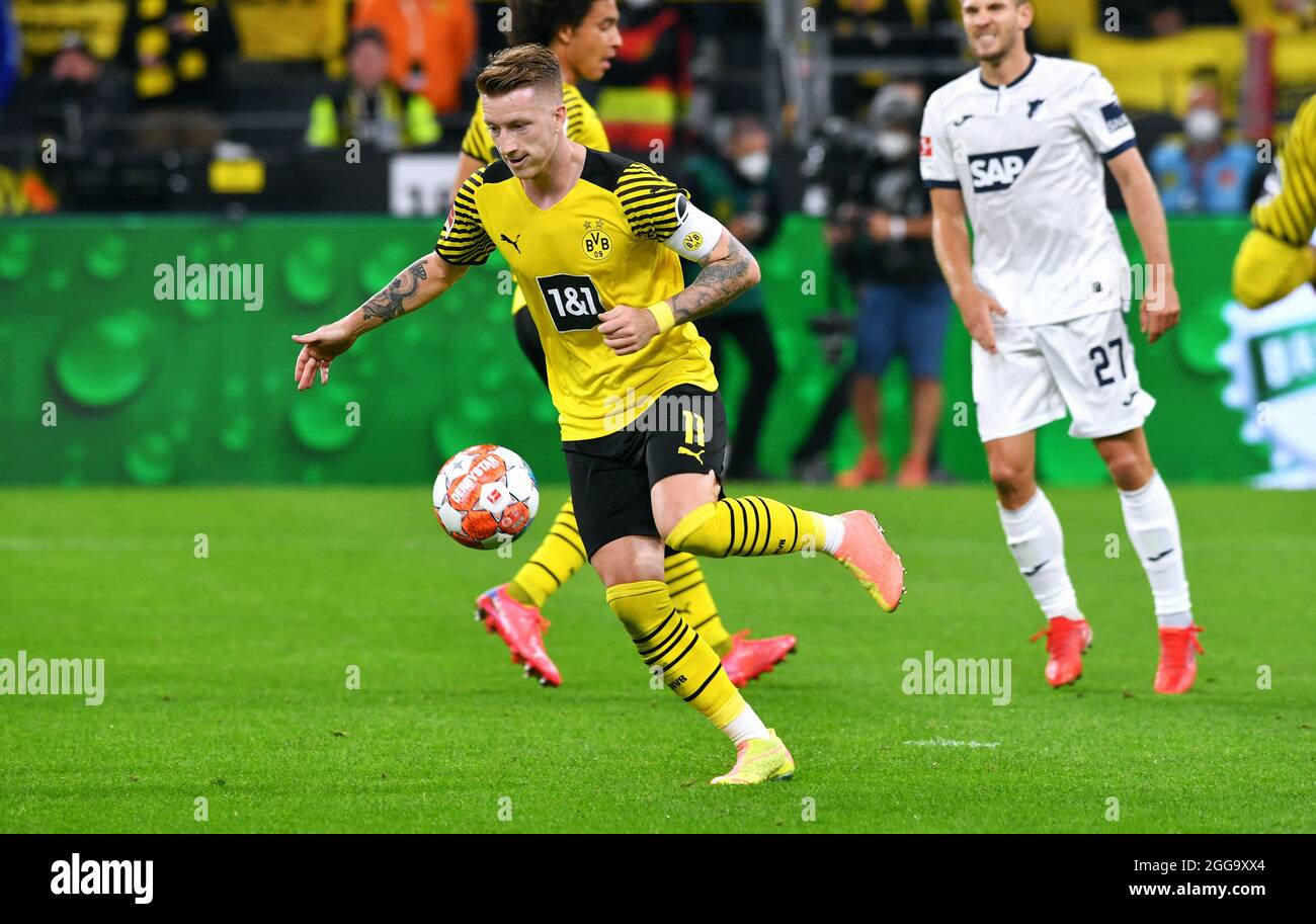 Dortmund vs hoffenheim