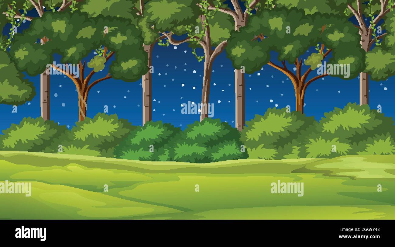 Nature forest landscape at night scene illustration Stock Vector Image ...