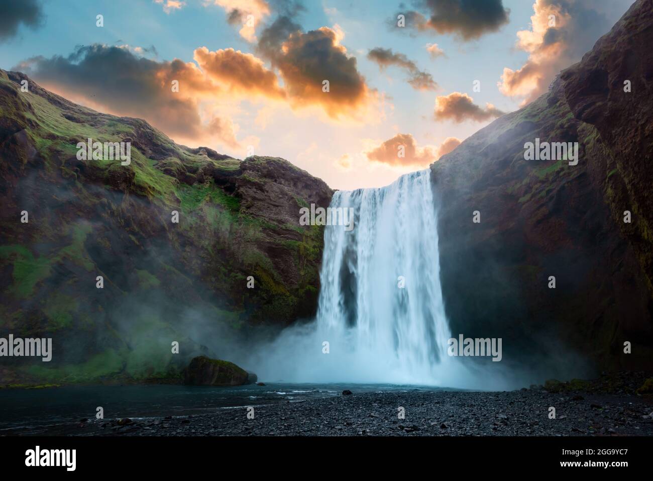 Famous Skogafoss waterfall on Skoga river in sunset time. Iceland, Europe.  Great purple sky glowing on background. Landscape photography Stock Photo -  Alamy