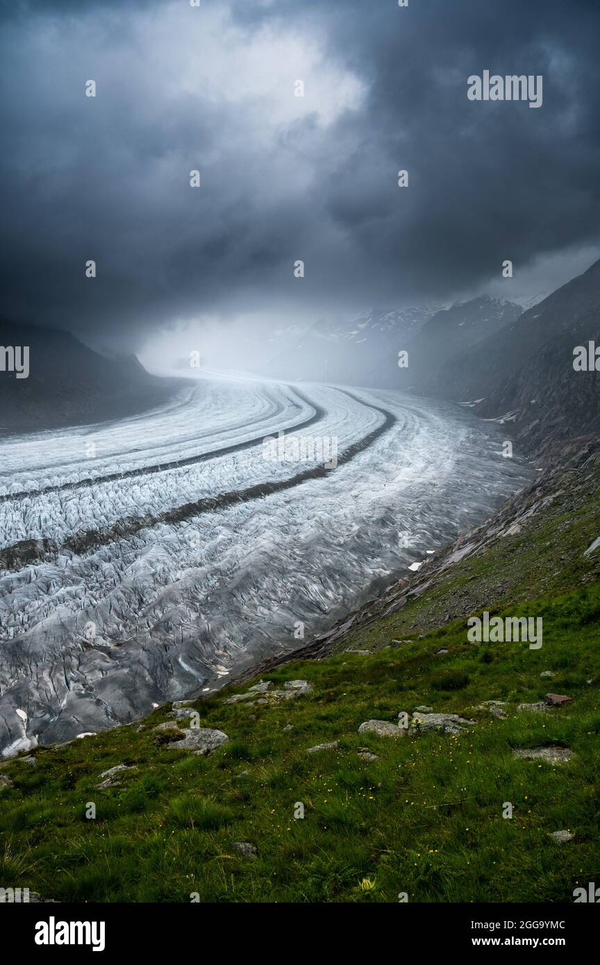 view over the strinking ice of the mighty Aletsch Glacier in the swiss alps Stock Photo