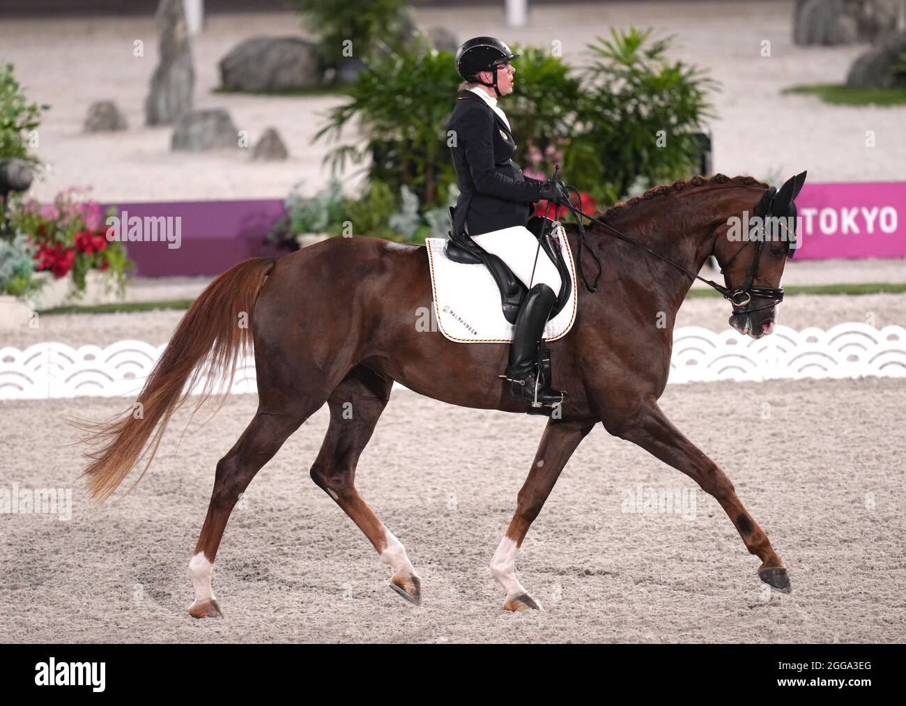 Germany's Heidemarie Dresing with horse La Boum 20 compete in the Dressage Individual Freestyle Test - Grade II at the Equestrian Park during day six of the Tokyo 2020 Paralympic Games in Japan. Picture date: Monday August 30, 2021. Stock Photo