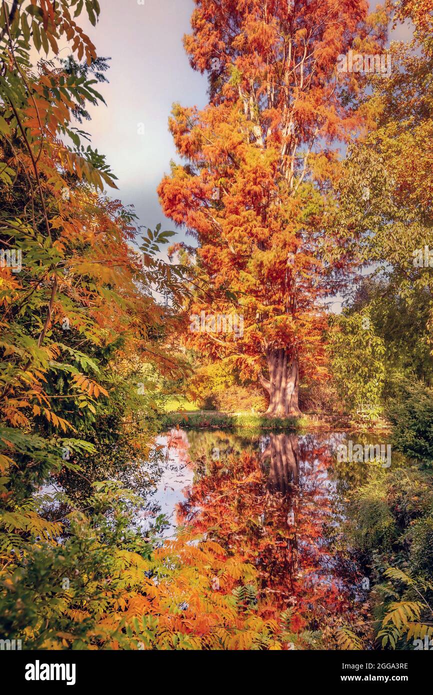 Fall foliage in France. Autumnal colors landscape Stock Photo