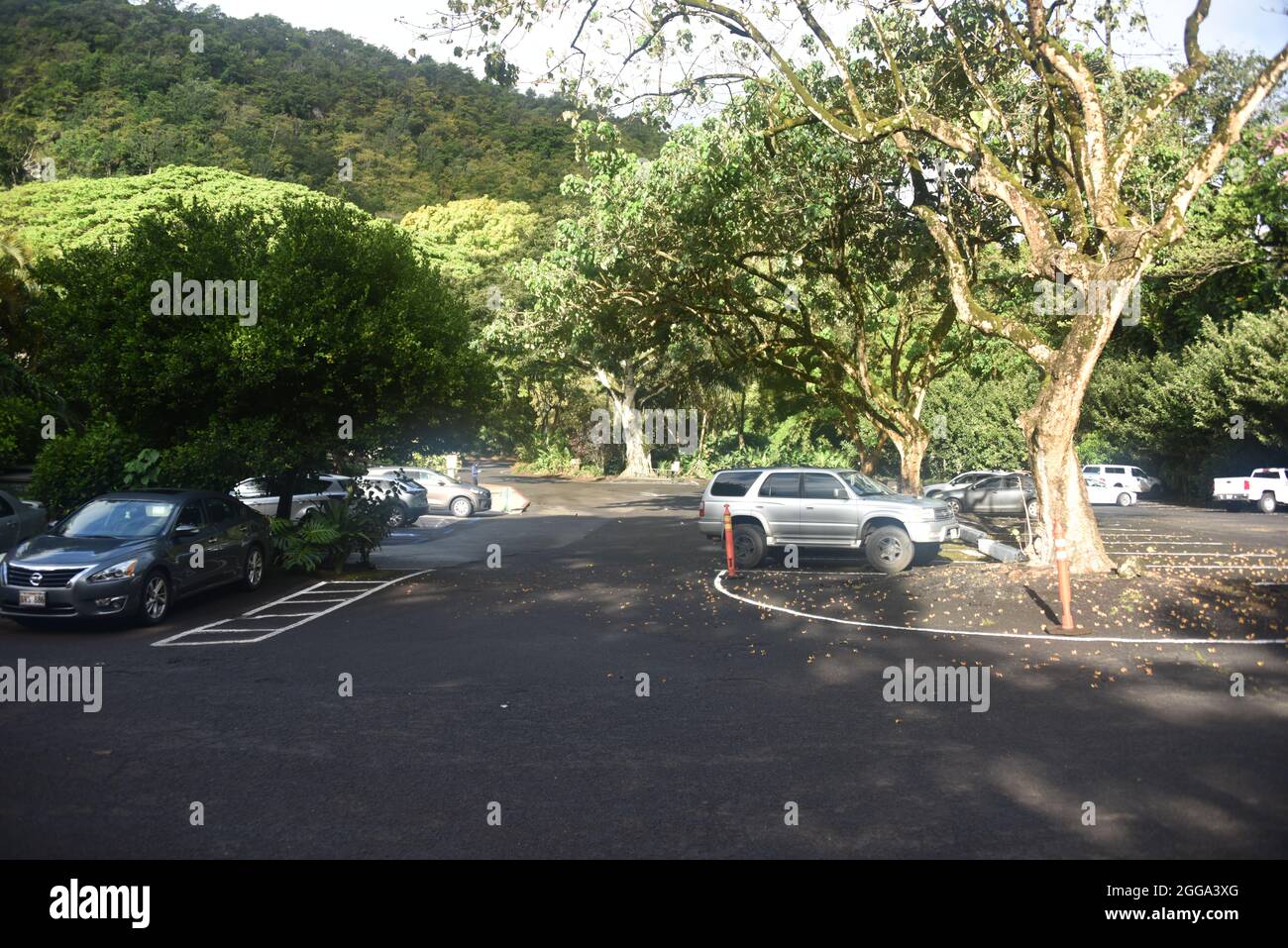 Oahu, HI U.S.A. 6/4&7/2021. Waimea Valley Visitors Center. Waimea